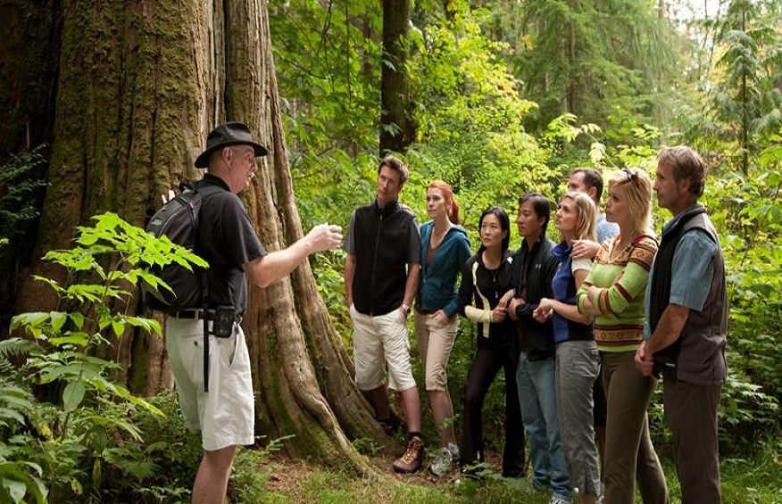 What are the Qualities of a Good Tour Guide?