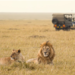 National Parks or Game Reserves: Which Is Best For Tanzania Safaris
