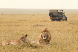 Is Best For Tanzania Safaris