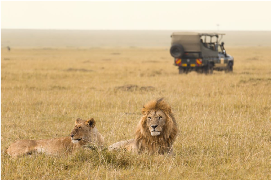 National Parks or Game Reserves: Which Is Best For Tanzania Safaris